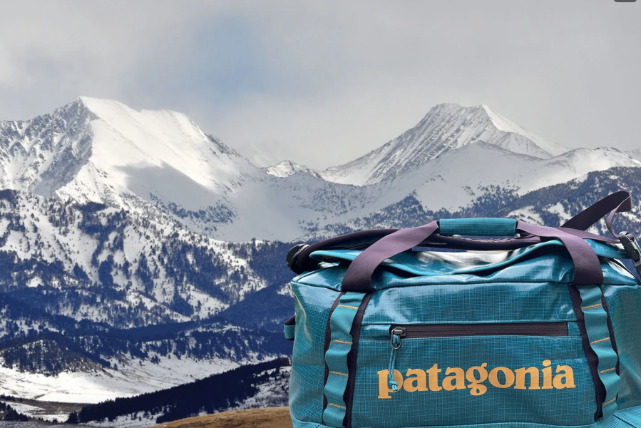 Did Patagonia Create the Perfect travel Bag