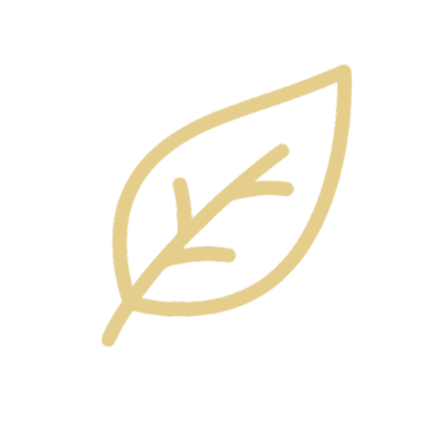 Line drawing of a leaf on a black background.