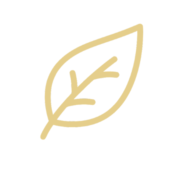 Line drawing of a leaf on a black background.