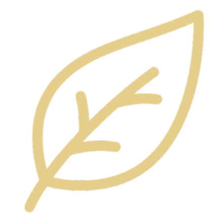 Line drawing of a leaf on a black background with a beige outline.