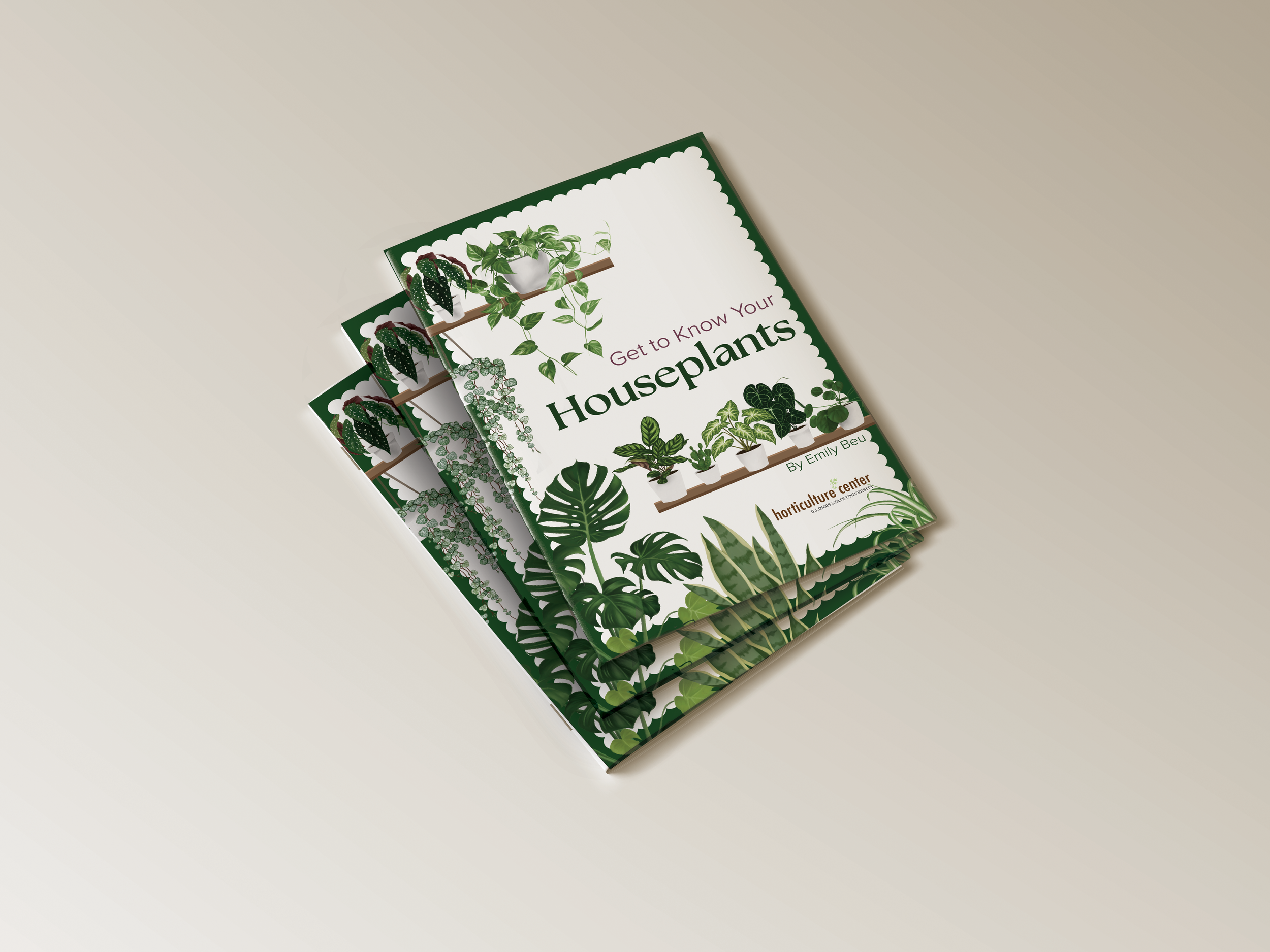 House Plant Care Project