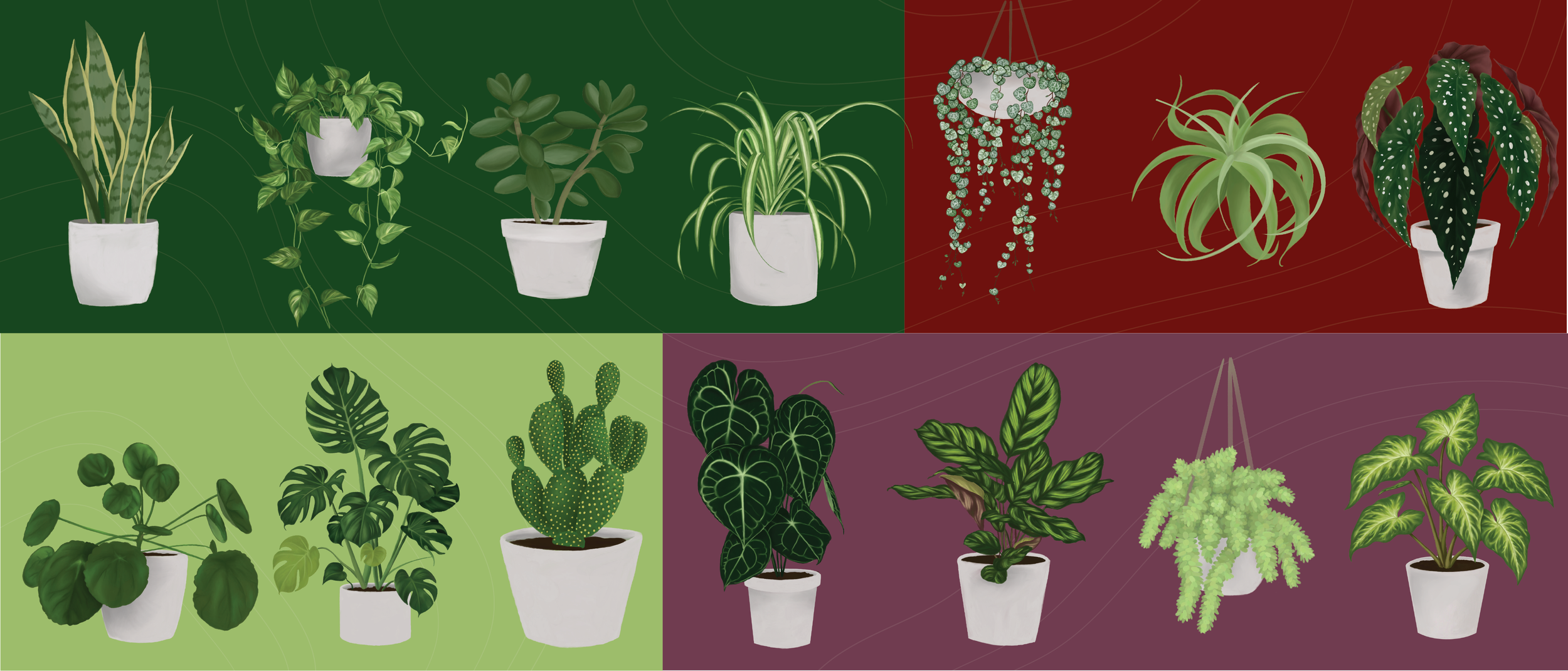 plants-21.png