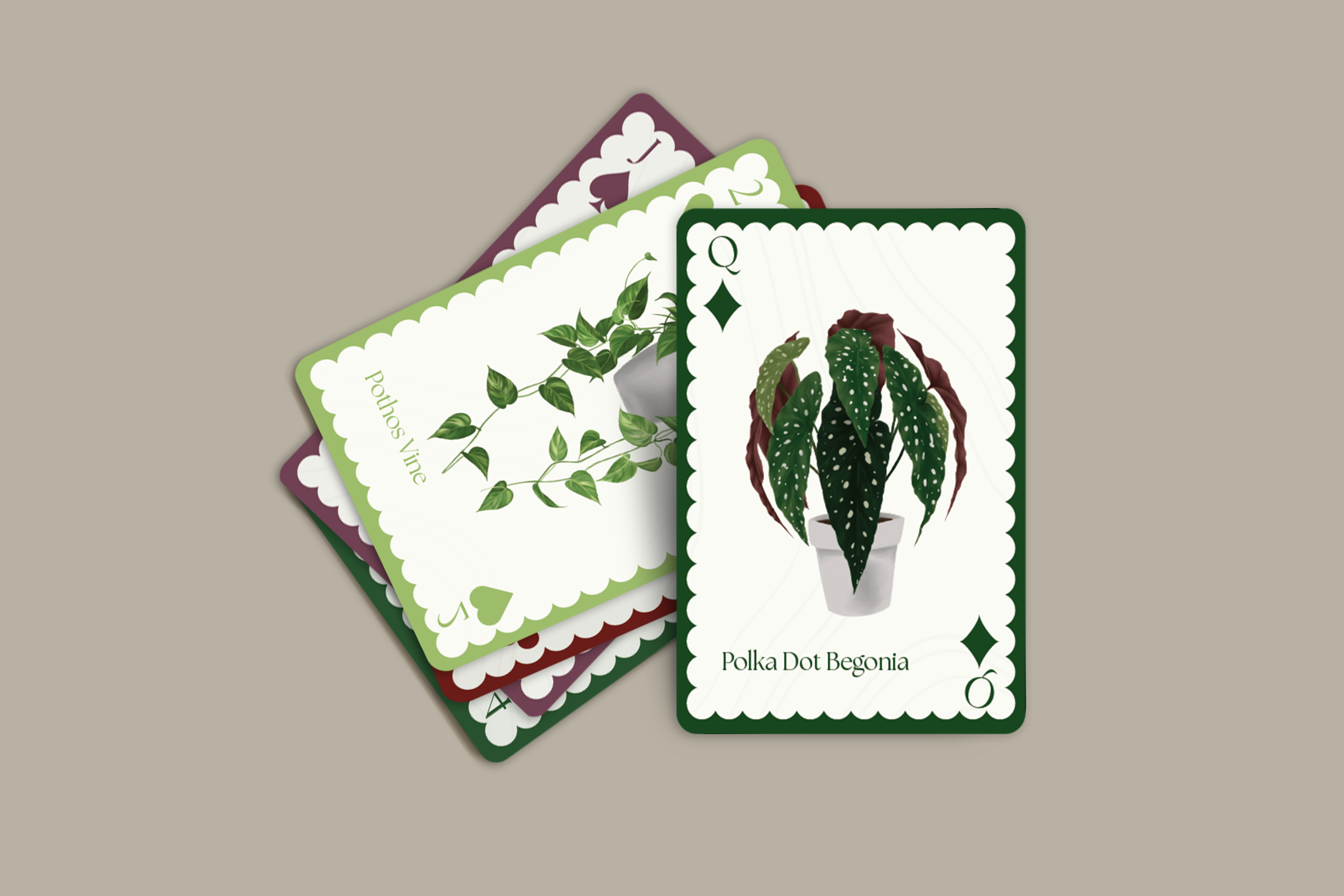 Houseplant_cards_mu.png