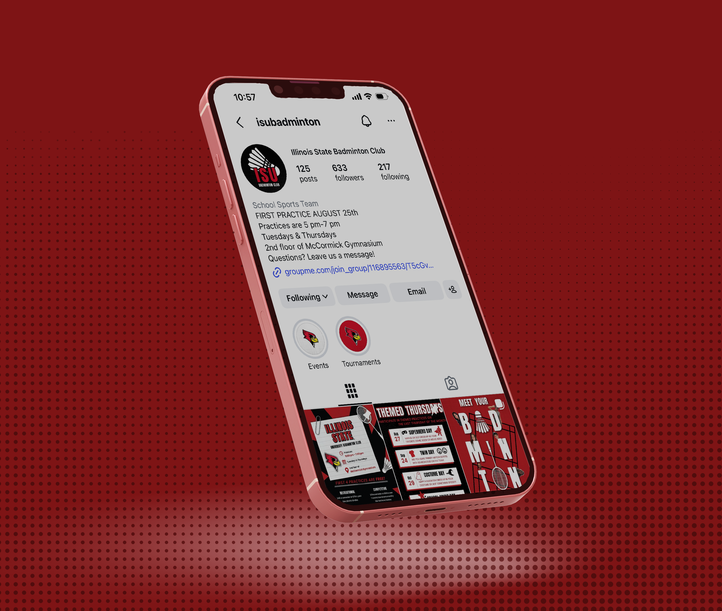 ISU Badminton Club Branding