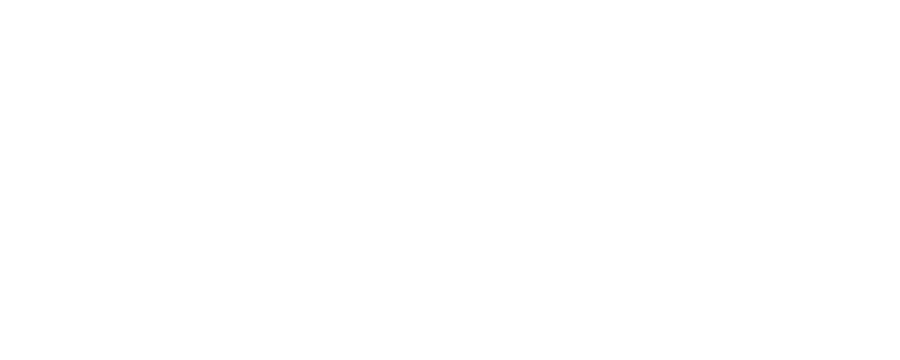 Sally's Diner