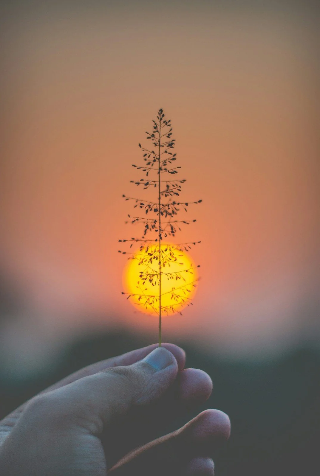 Becoming More Fully Yourself: Trusting your innate potential.