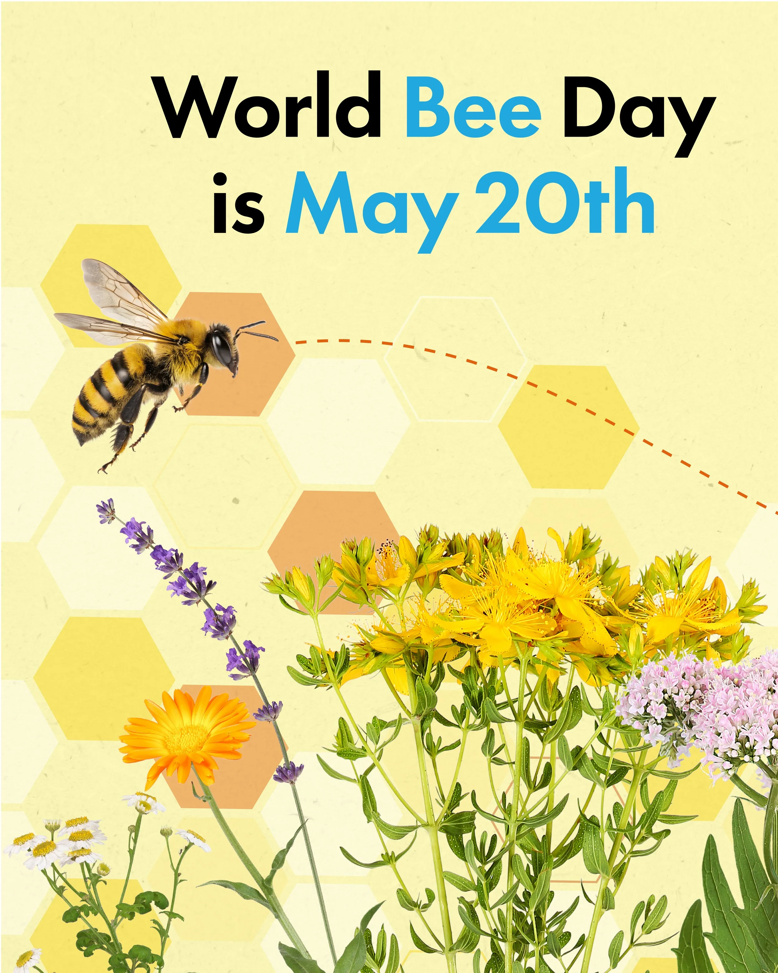 World Bee Day