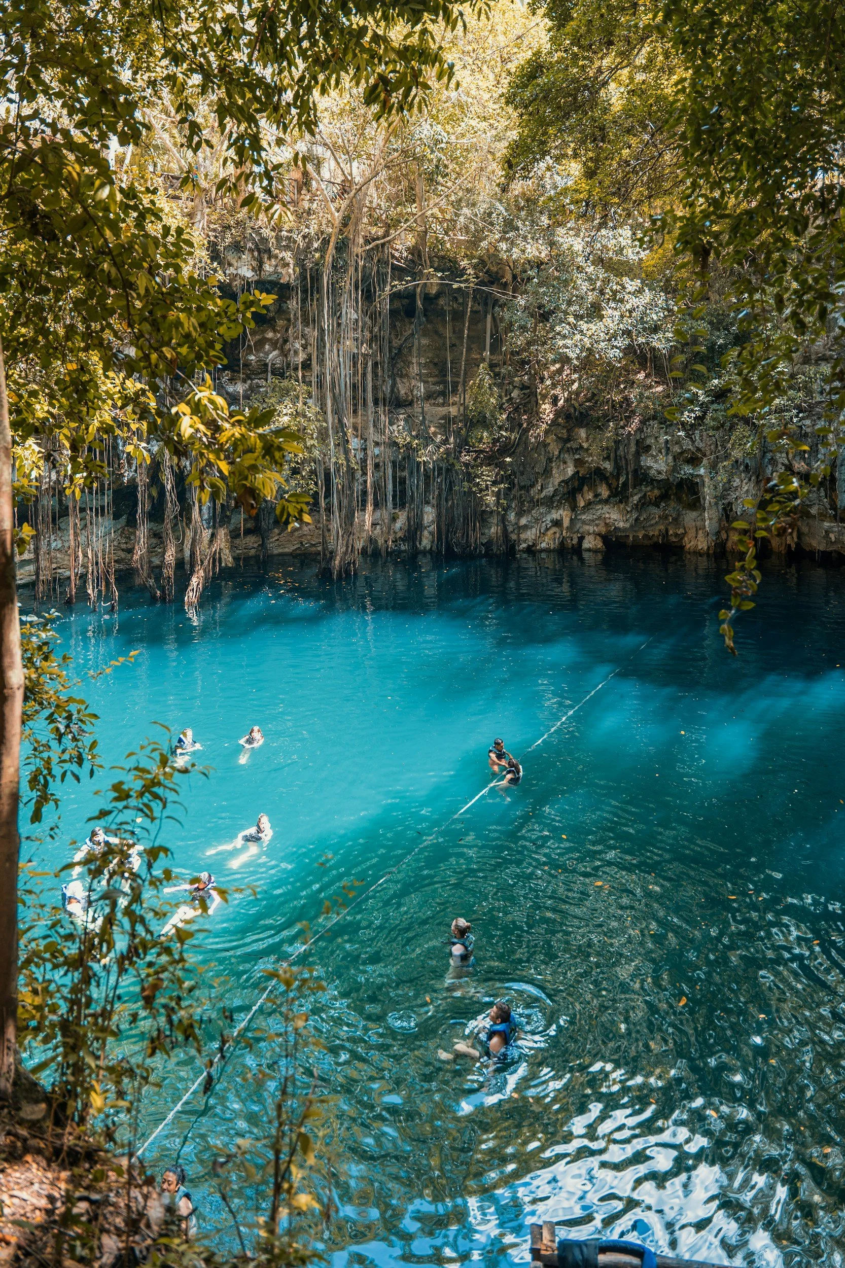 Cenote Swimming
