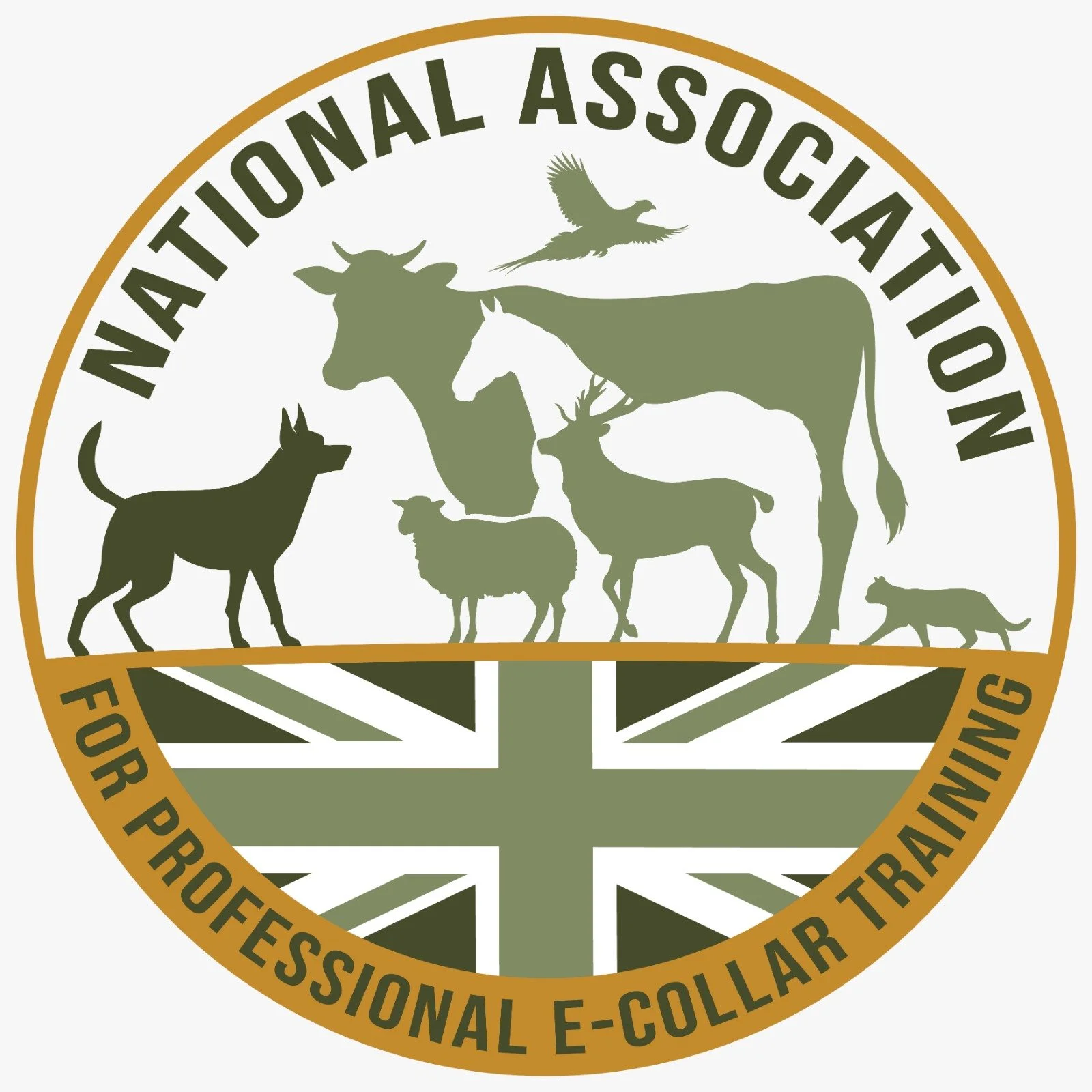 NAPET and ARDO: Representation, Education and Professional Standards