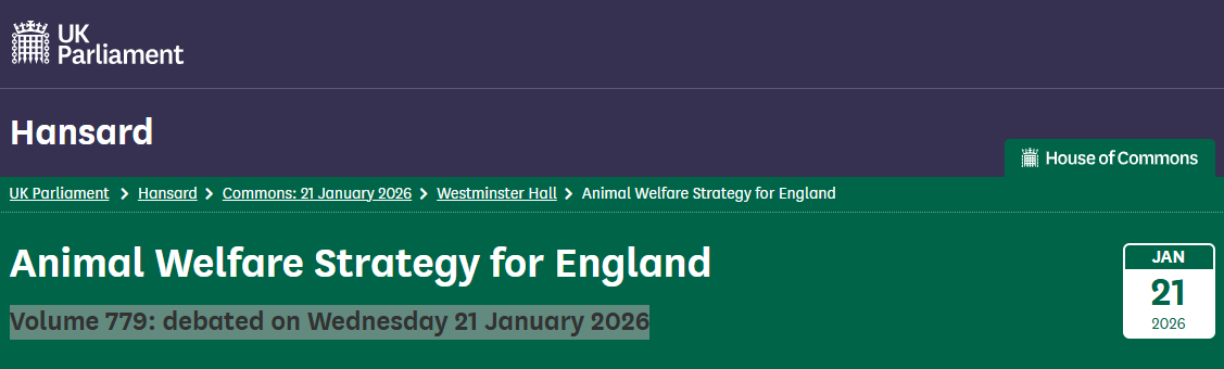 What the Animal Welfare Strategy for England Debate Means for Professional Dog Training and NAPET