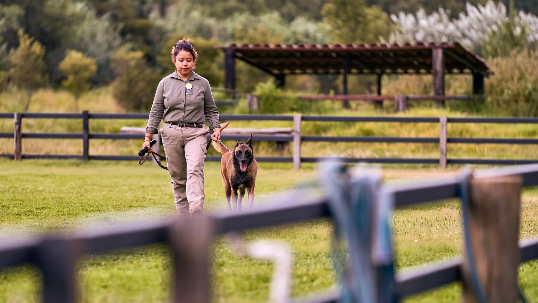 The Responsible Dog Ownership Taskforce Report: What It Means for Dog Trainers