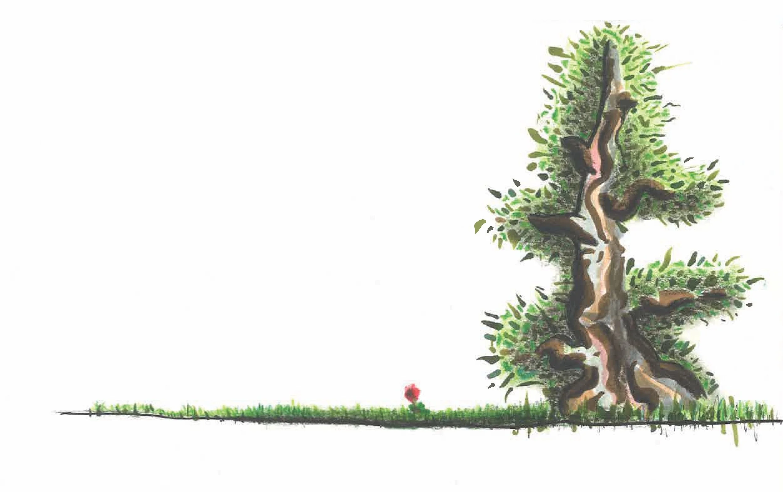 tree
