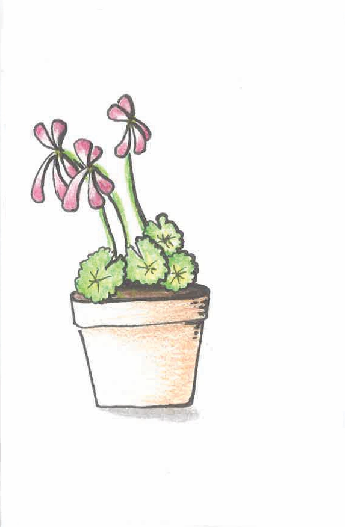 flower pot.jpg