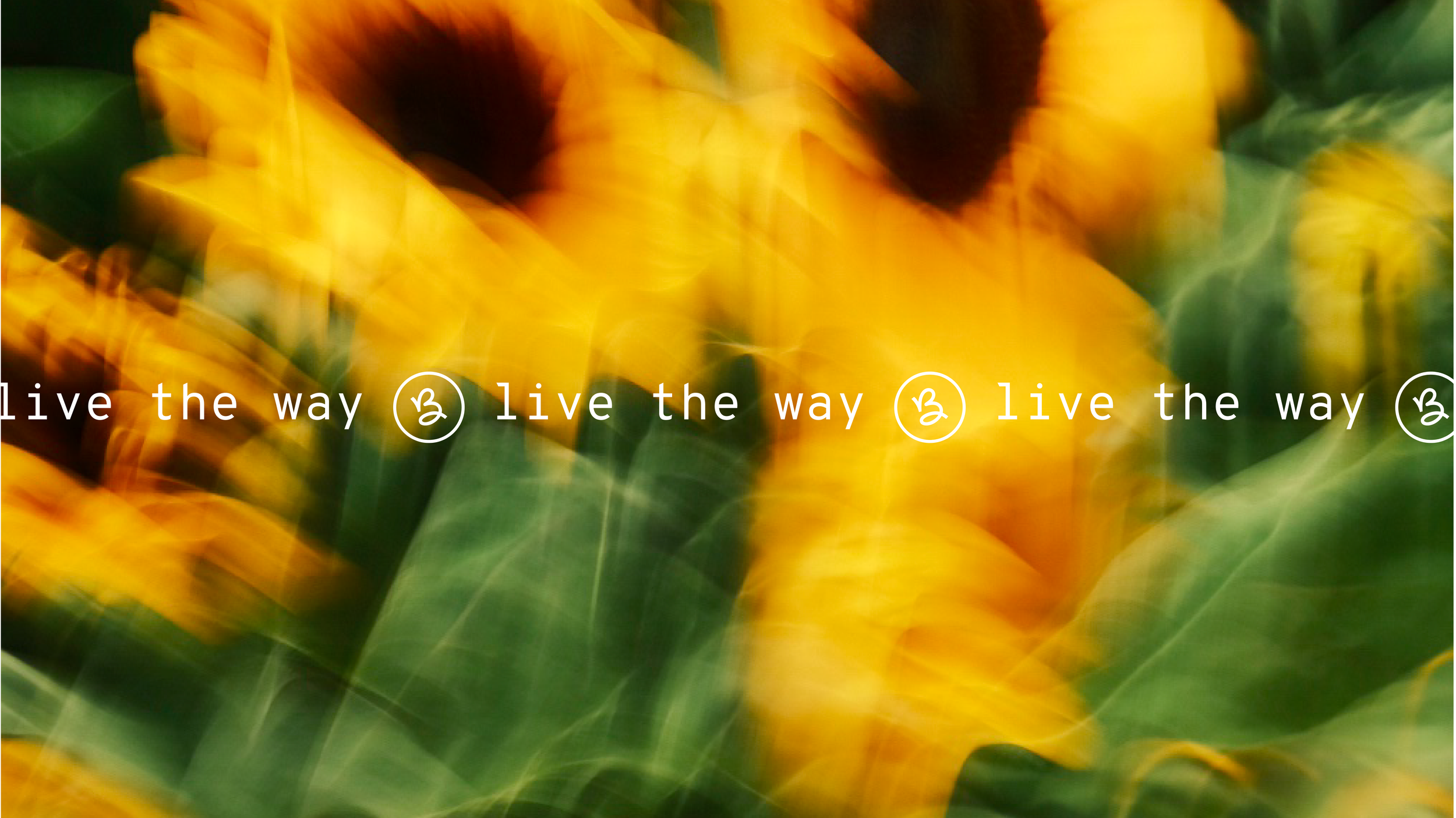 Fleurs de tournesol floues avec le texte "live the way" répété en blanc avec un symbole circulaire à côté de chaque phrase, en fond coloré en jaune et vert.