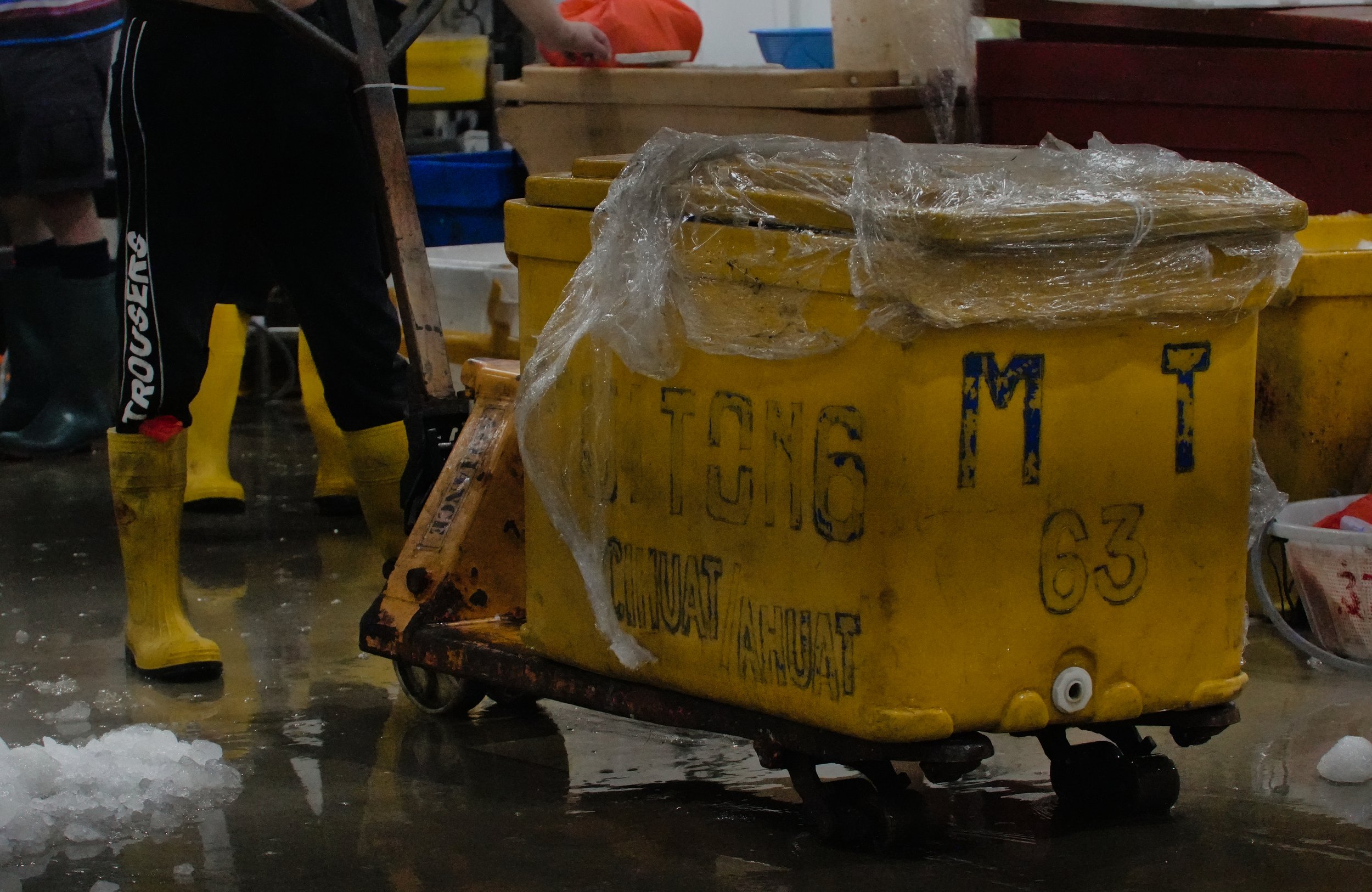 one container like this holds 120kg of sealife