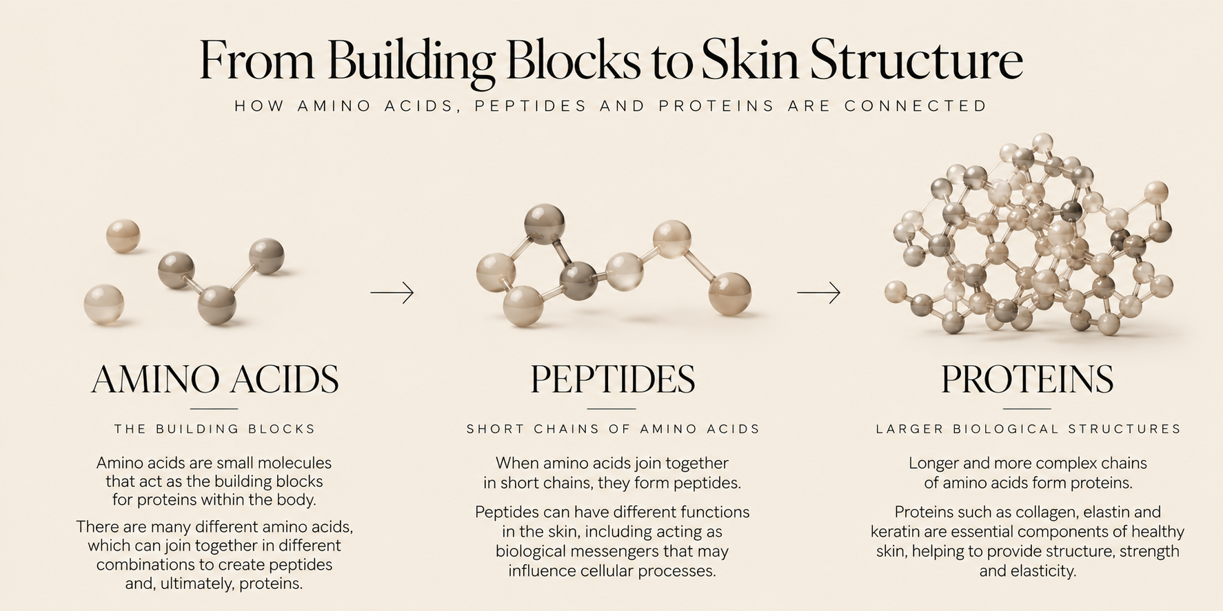 image about skin structure at Beau.t