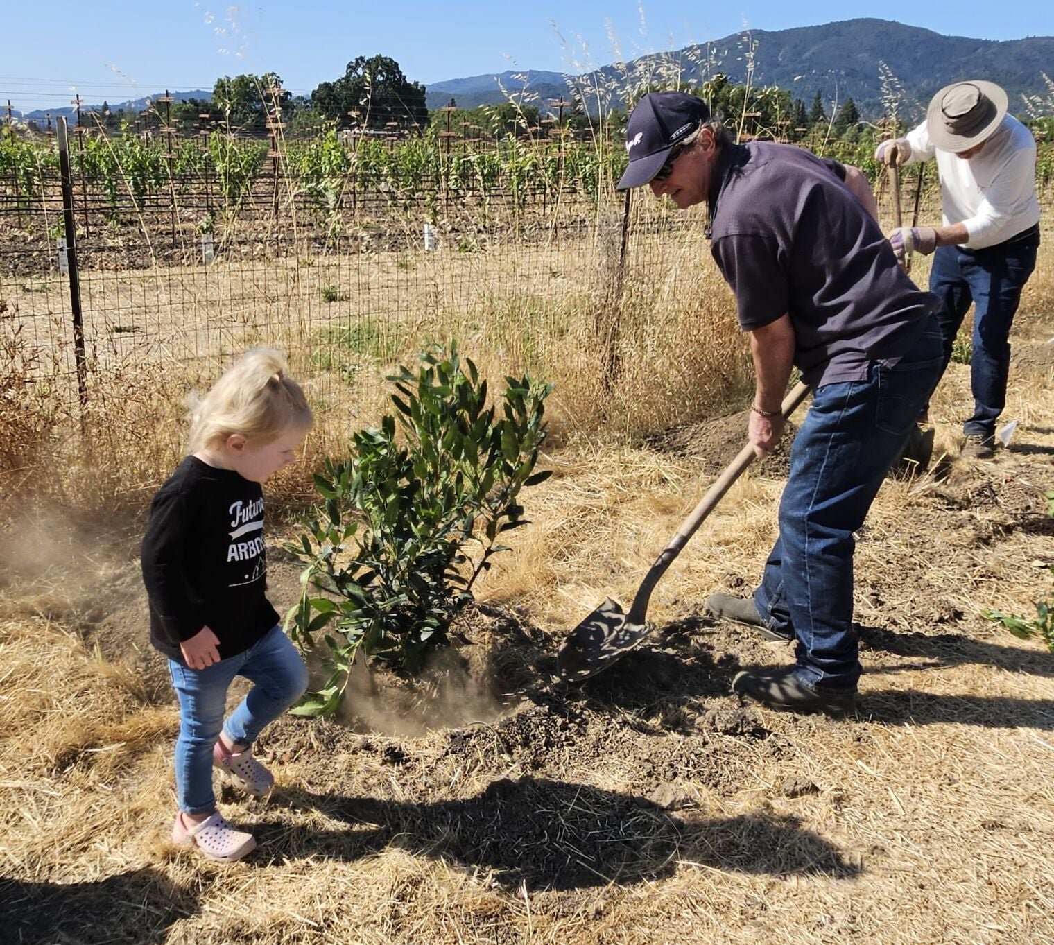 St. Helena Community Forest looks to expand