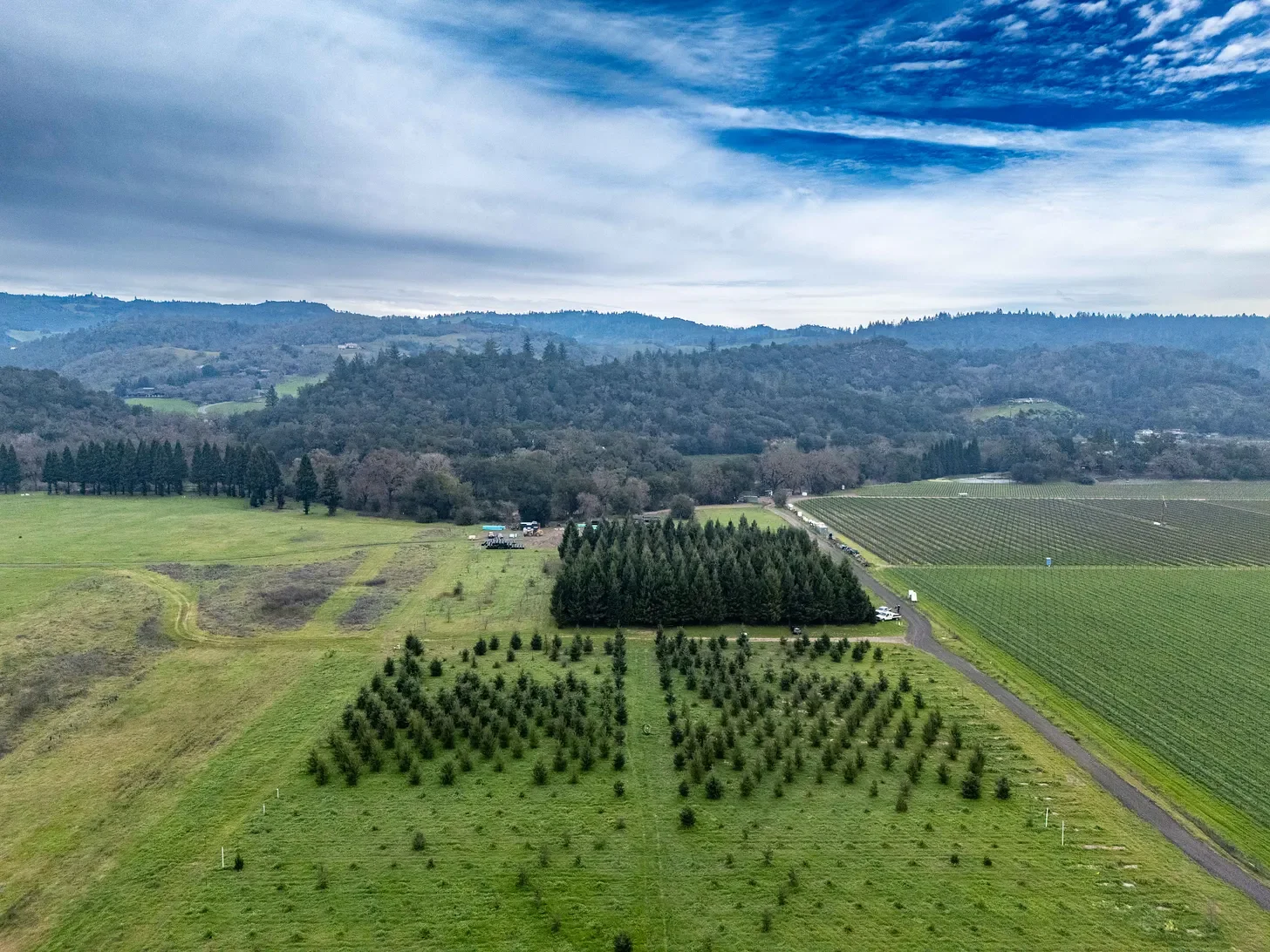 The St. Helena Community Forest is Ready to Grow