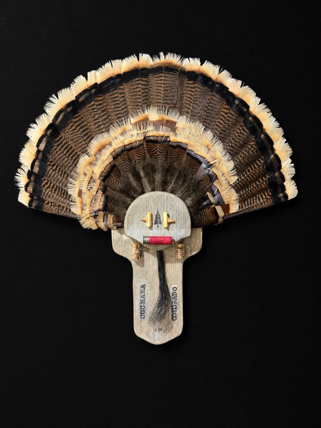 A decorative wall hanging resembling a turkey, made with feathers attached to a wooden base that has a painted face, beak, and text reading "Coctávara" and "Colorado."