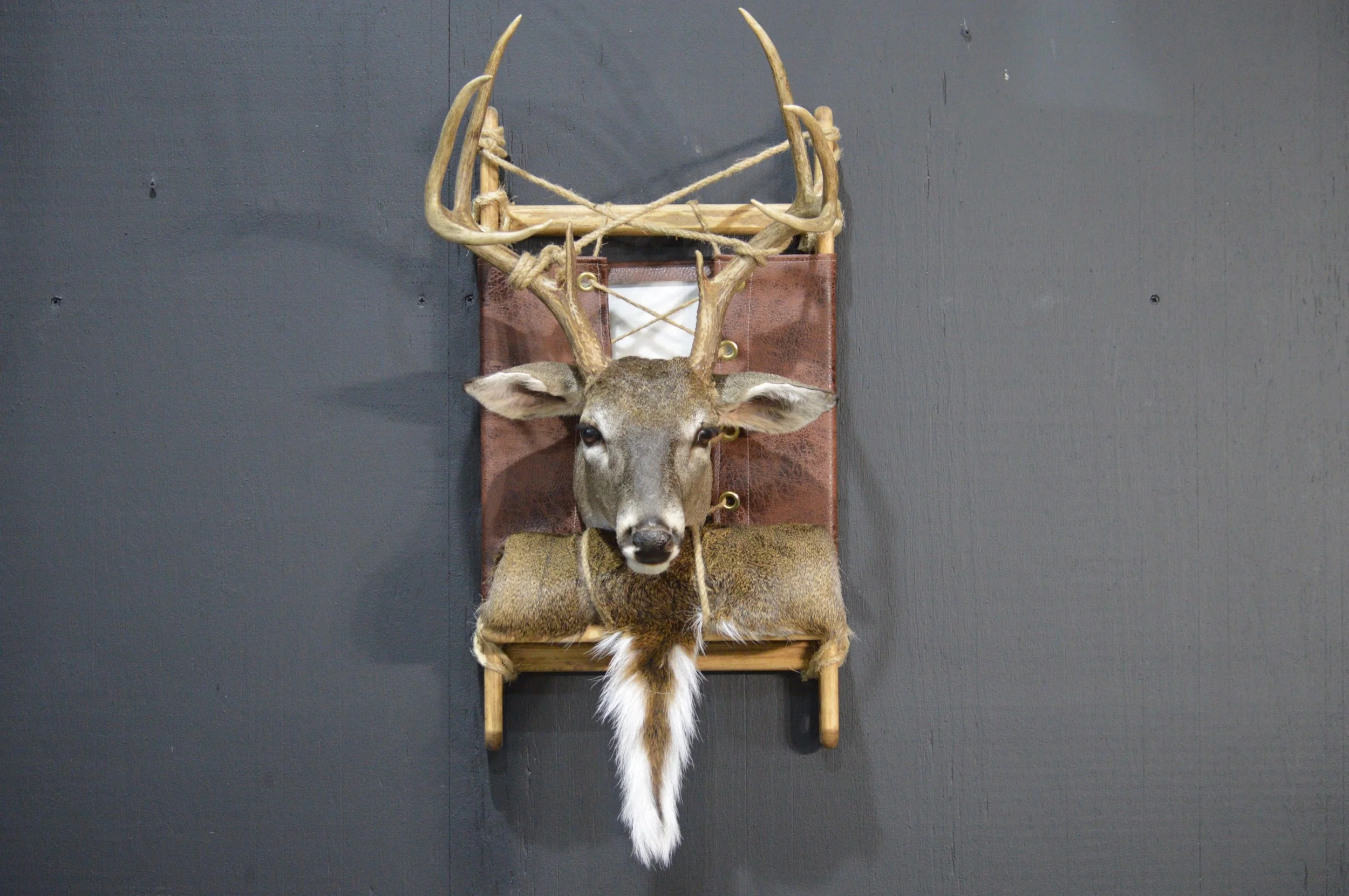 Deer mount with large antlers hanging on a wall above a wooden shelf, against a dark wall.