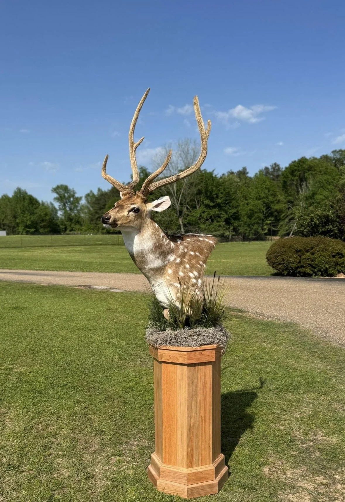Deer sculpture with large antlers on a wooden pedestal, outdoors in a grassy area with trees and a blue sky.