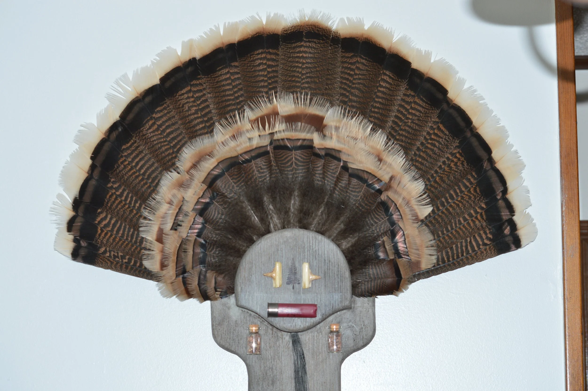 Mounted display of a bird's fan with colorful feathers, arranged in a semicircular pattern, on a wooden stand with small decorative items at the base, against a plain wall.