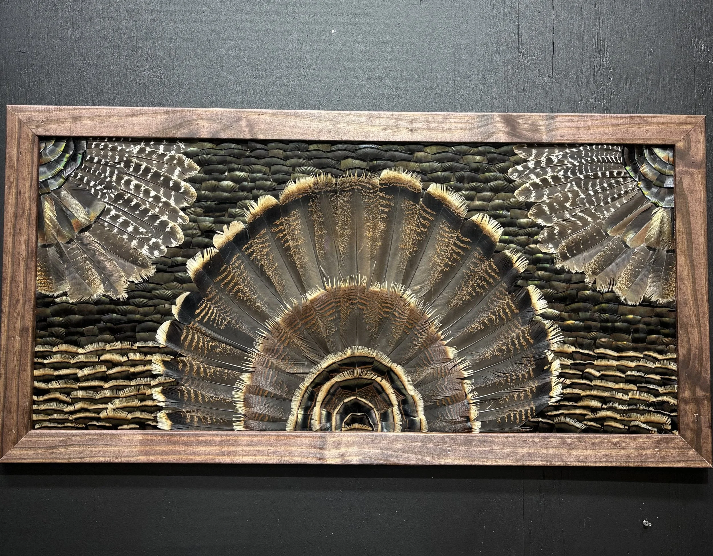 Framed artwork of peacock feathers with a black background, mounted on a dark wall.