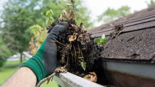 Person wearing a glove removes debris from a gutter on a roof.