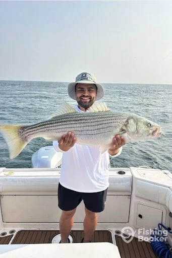 Cape Cod fishing aboard Liveliner Sportfishing