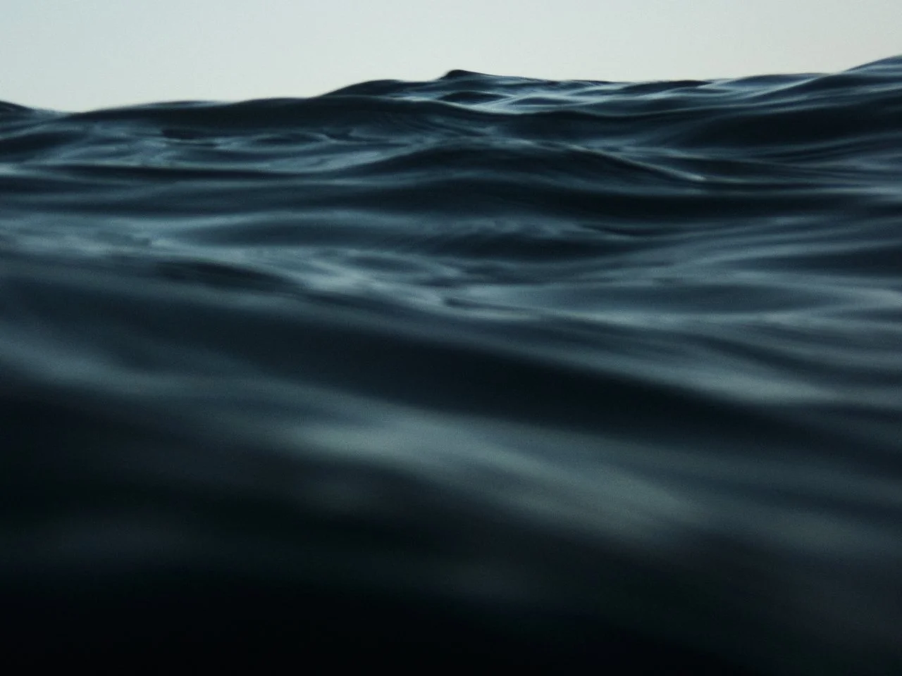 DTS_Open_Water_Copson_London_Photos_ID5588 (1).jpg