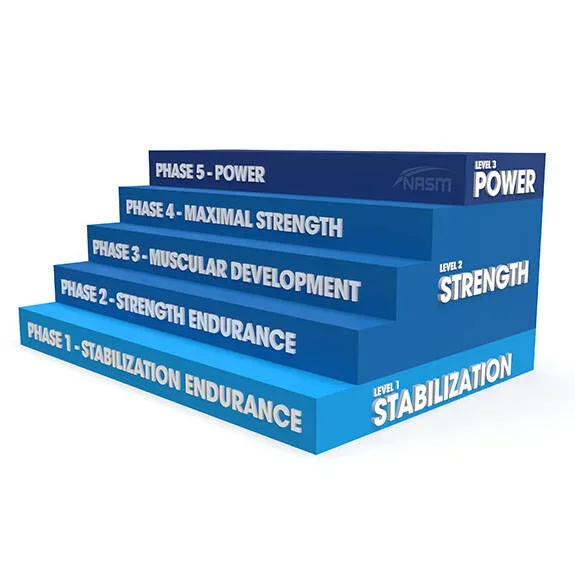 A five-step blue staircase diagram showing the phases of physical fitness: Level 1 Stabilization, Level 2 Strength Endurance, Level 3 Muscular Development, Level 4 Maximal Strength, and Level 5 Power.