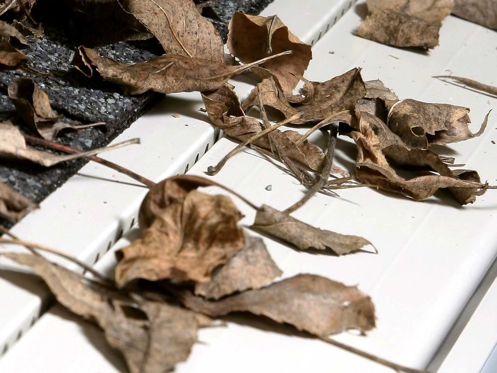 LeafX panels with dry leaves on top