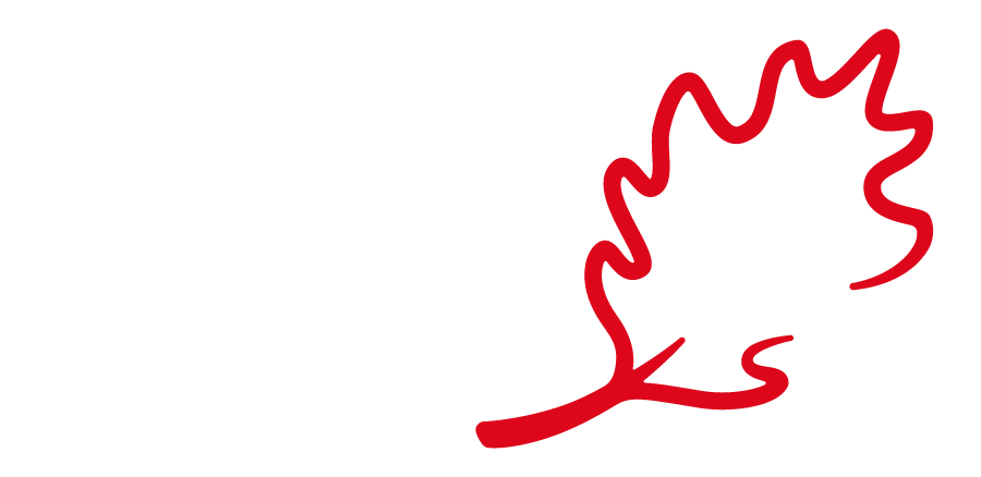 LeafX: The Clean Gutter System