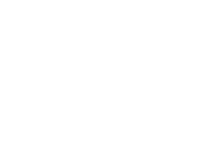 GPI Icon White