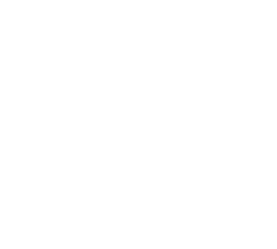 LeafX: The Clean Gutter System