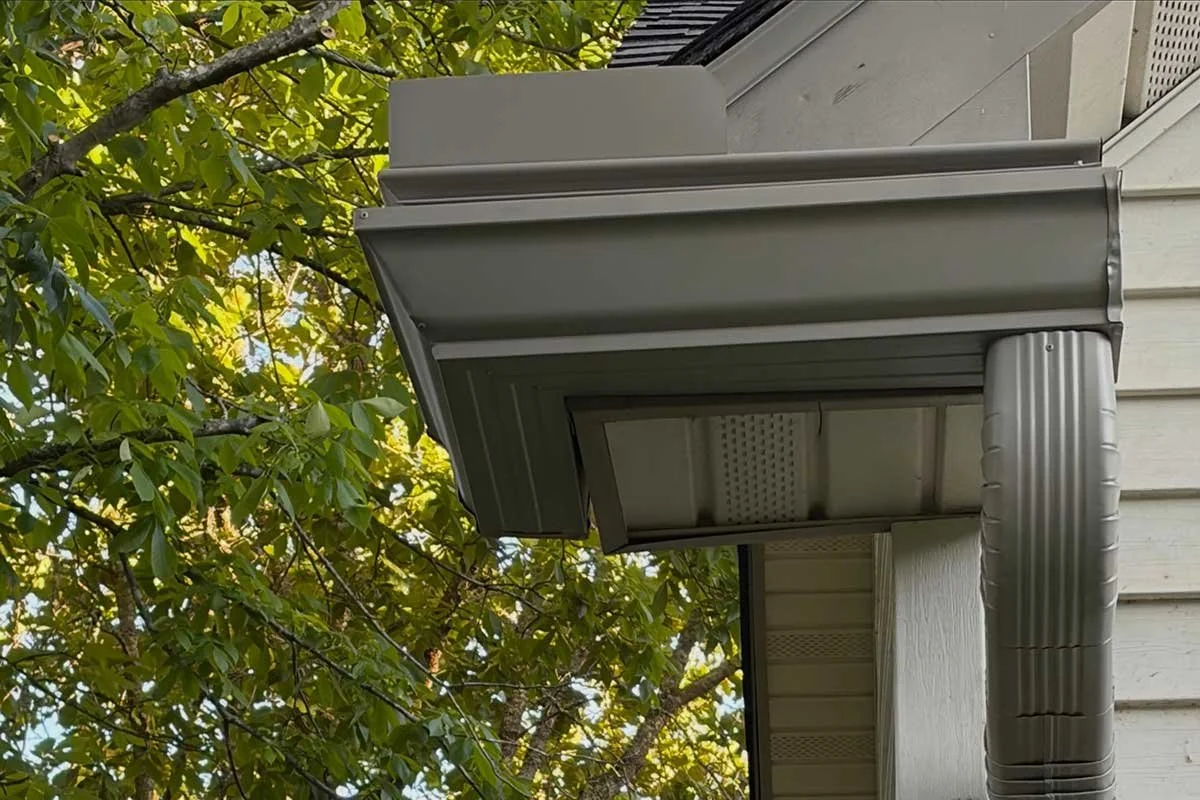 Close-up of a house exterior corner showing gray metal flashing, gutter, and soffit with some trees and foliage in the background.