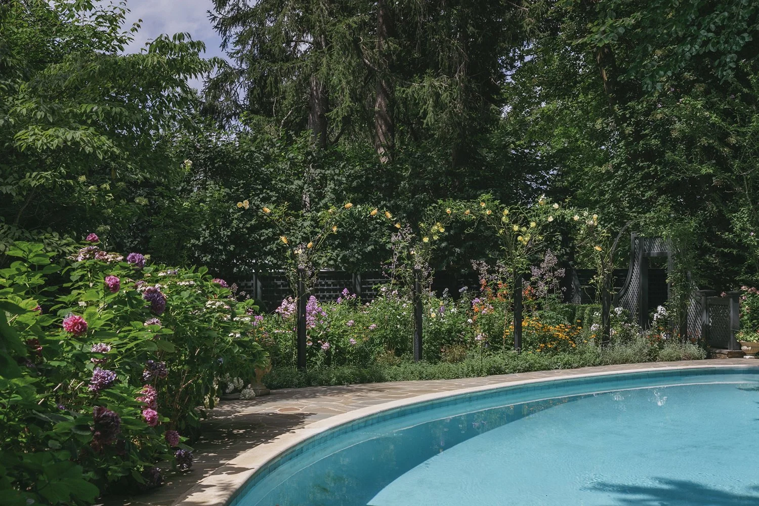 Curved edge of the serpentine pool beneath ironwork hoops of climbing roses, Historic Garden, Shrewsbury NJ