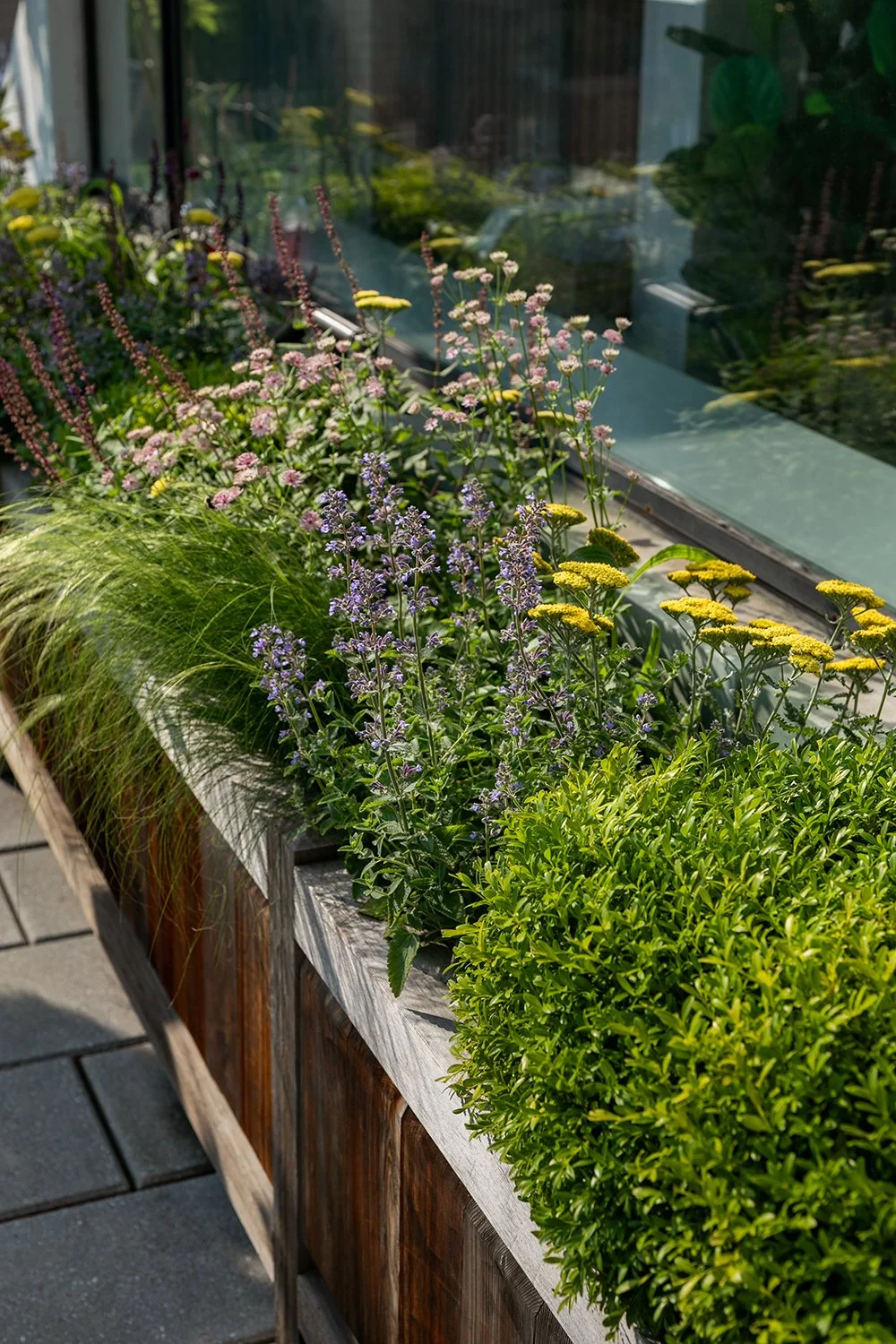 Timber planter of grasses and flowering perennials along the terrace, Upper East Side Penthouse