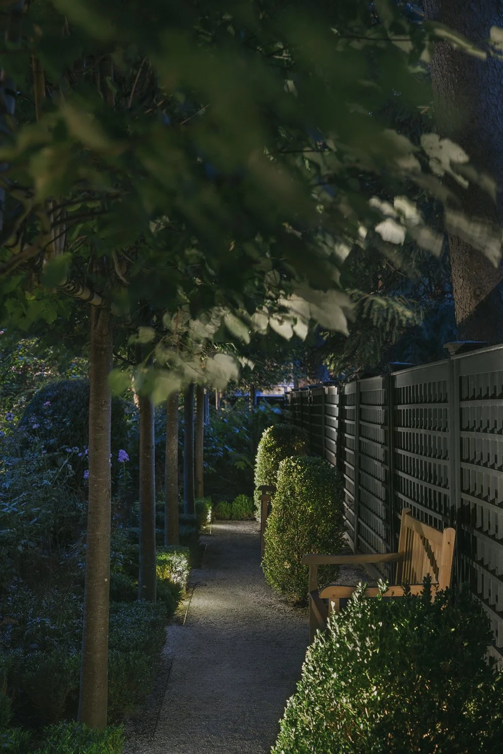 Lit planting along the trellis boundary at night, Historic Garden, Shrewsbury NJ