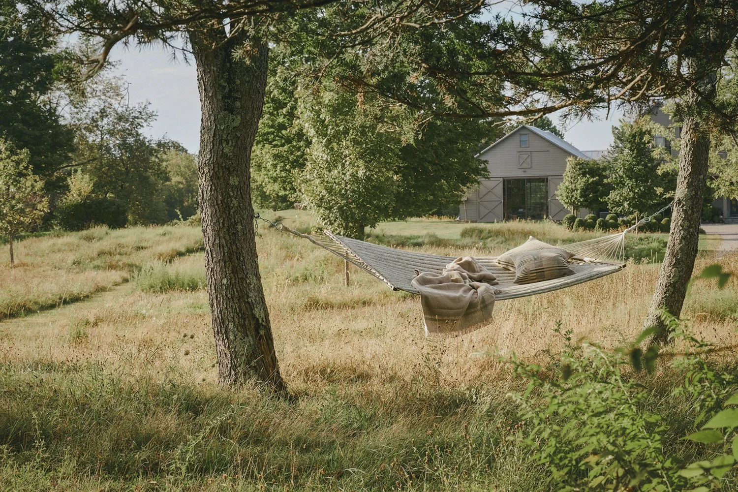 Hammock between mature trees in the wildflower meadow, Hudson Valley Estate, Rhinebeck