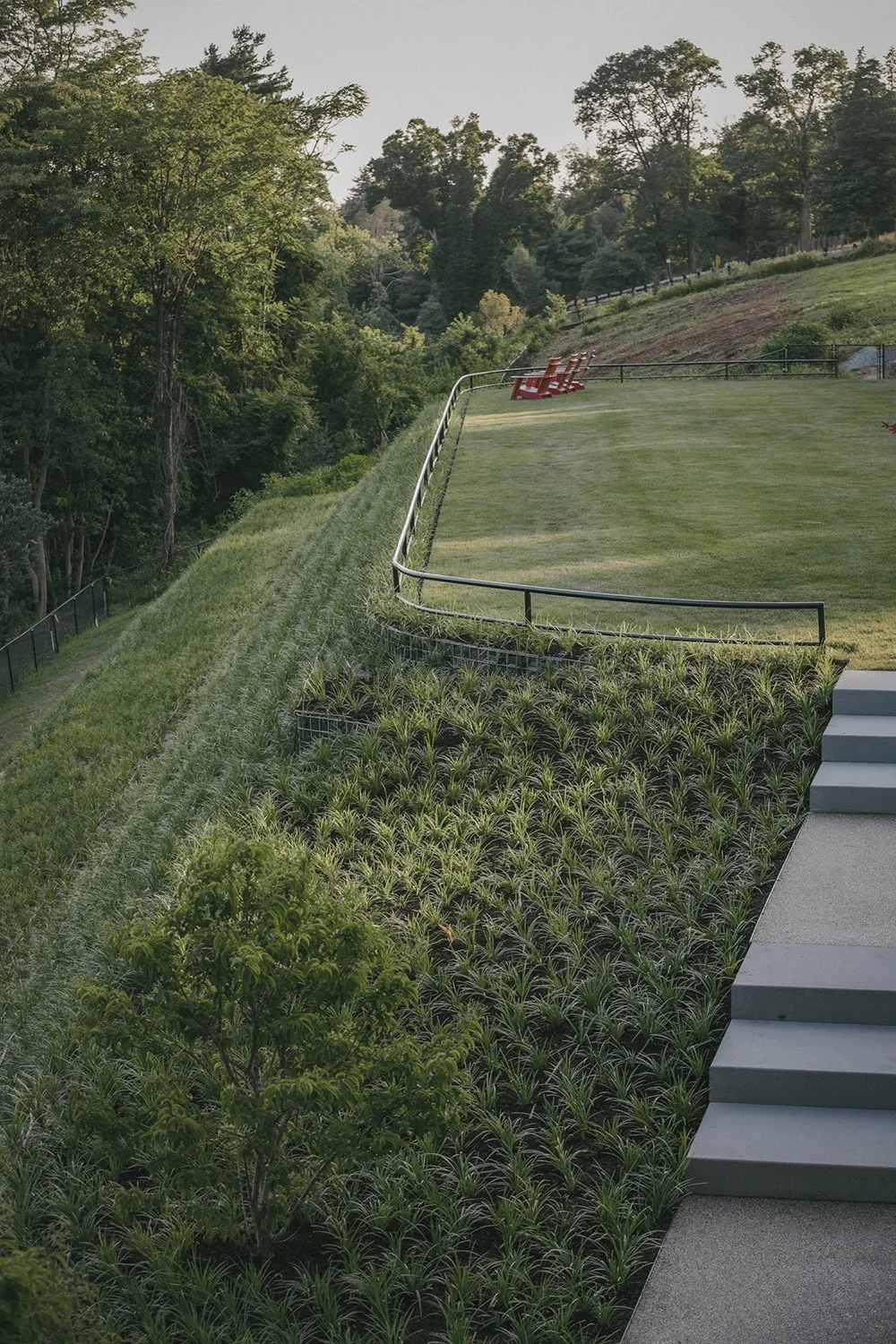 Engineered green slope planted with Liriope beside a stairway, Riverfront Estate, Navesink River