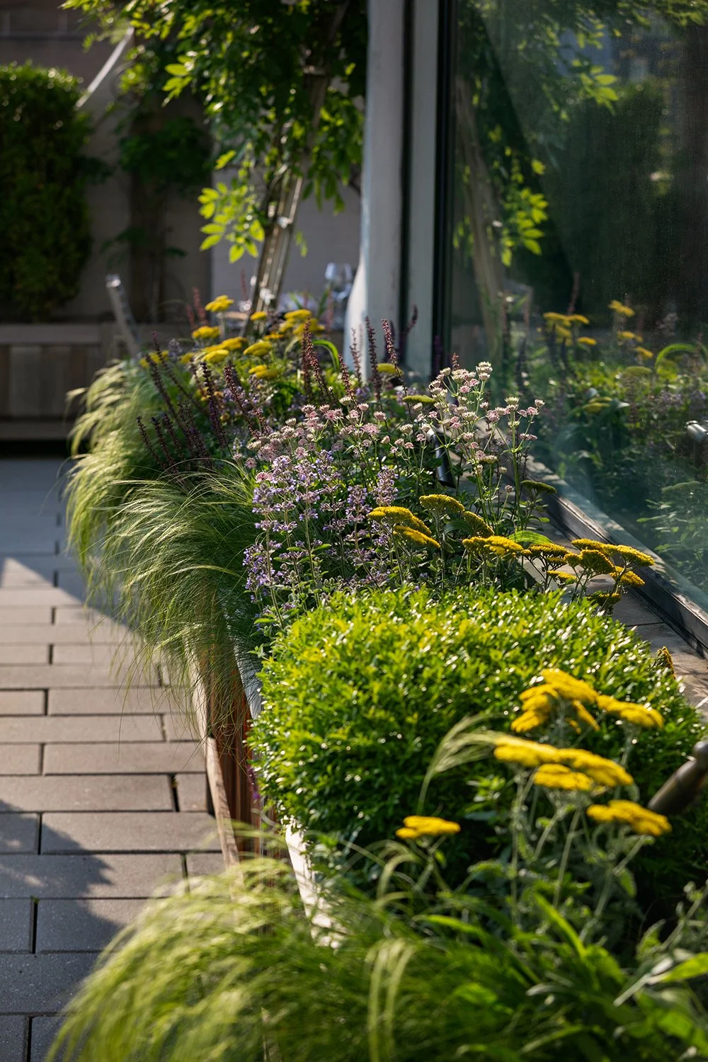 Yellow-flowering perennials and grasses along the terrace, Upper East Side Penthouse