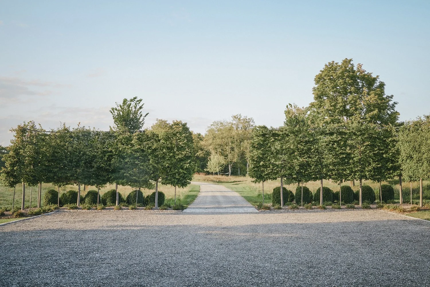 Gravel drive between pleached Linden trees and clipped hedges, Hudson Valley Estate, David Eaton Associates