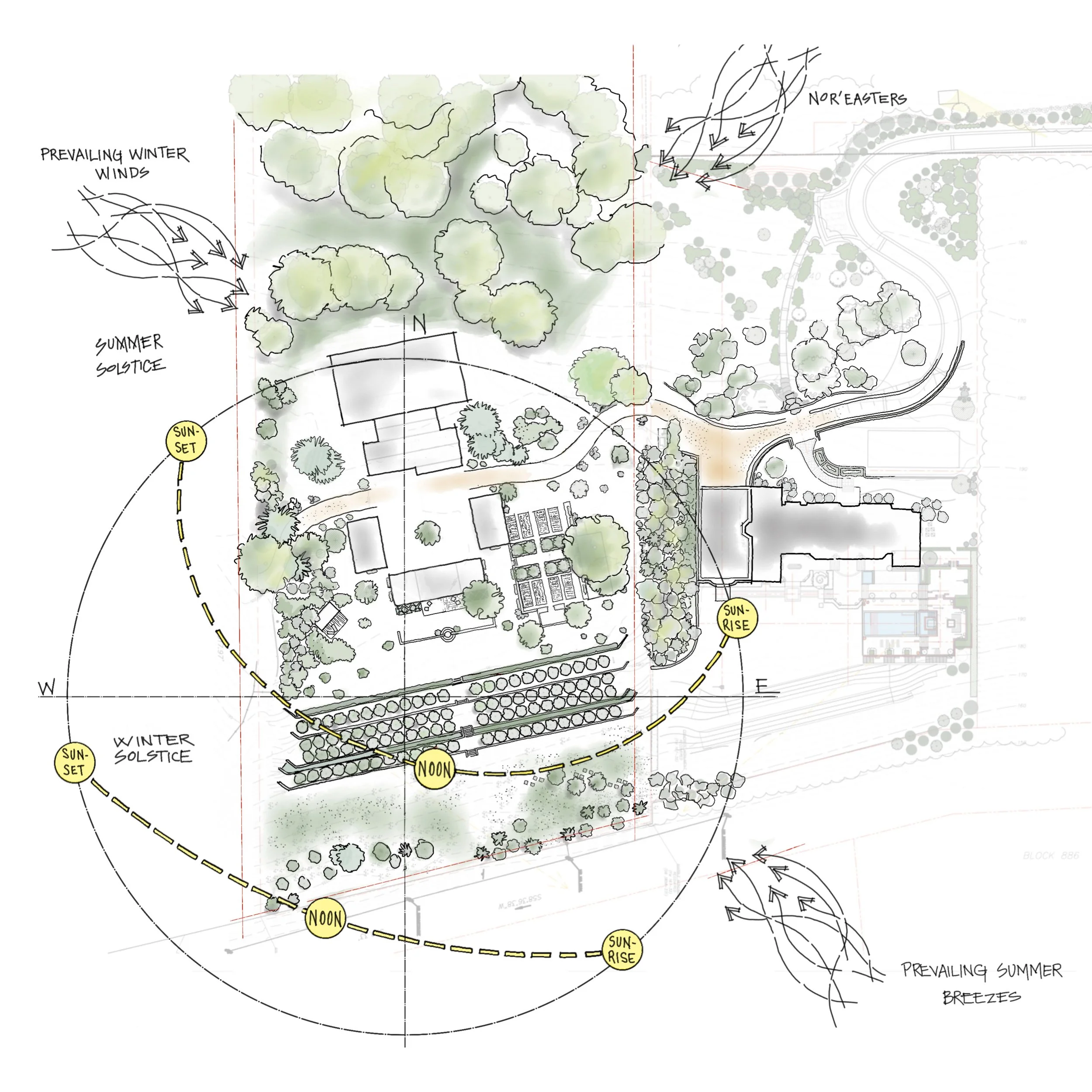 Annotated site plan with a sun-path study, Garden Consultations, David Eaton Associates