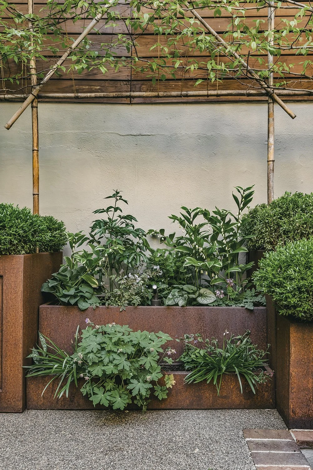 Layered shade planting in Corten steel planters on resin-bound gravel, Townhouse Garden, Brooklyn