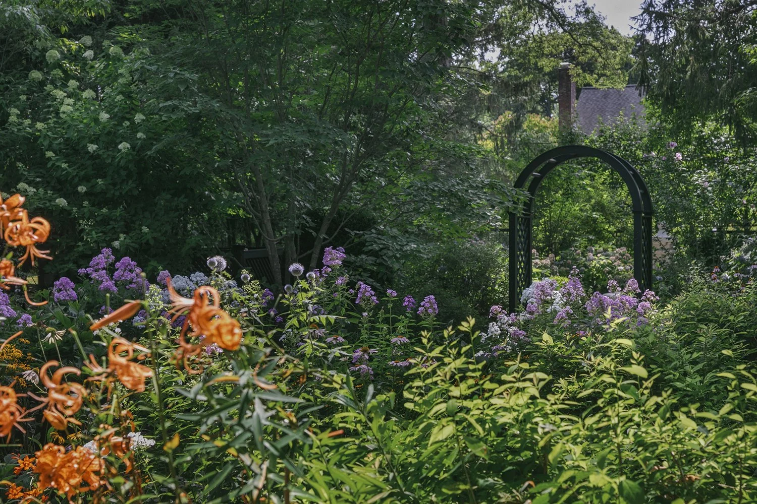 Lilies and phlox in front of the black garden arch, Historic Garden, Shrewsbury NJ