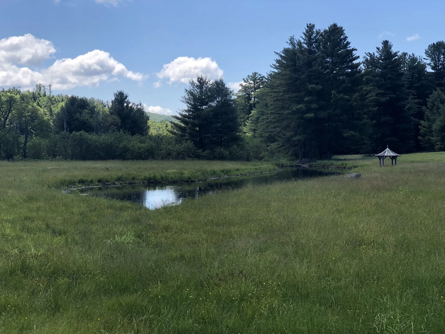 Pond in the meadow with woodland and a gazebo beyond, Mountain Retreat, Mt Washington MA