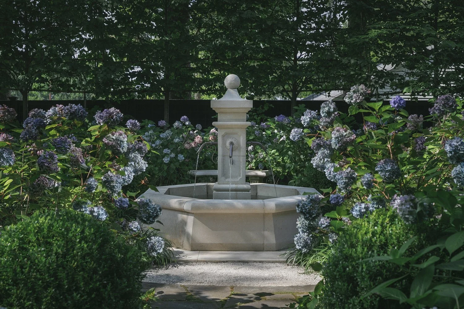 Antique stone fountain surrounded by clipped boxwood and hydrangeas, Historic Garden, Shrewsbury NJ