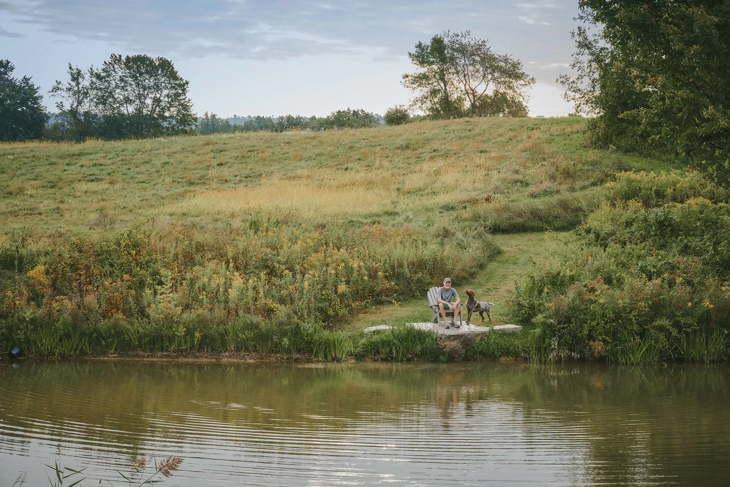 Natural pond with a small timber dock and wildflower meadow beyond, Hudson Valley Estate, Rhinebeck