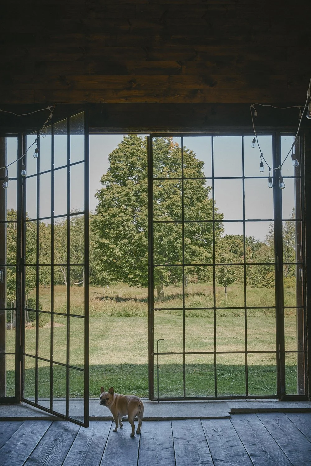 View through black steel-framed doors to the garden, Hudson Valley Estate, Rhinebeck